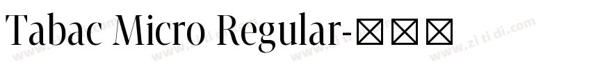 Tabac Micro Regular字体转换
